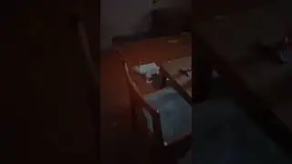Поход в заброшенный барак. Подъезд покрытый инеем.