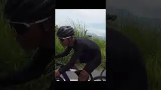 Best Fixed Gear Ratio for Fixed Gear? 🤔