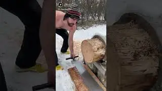 Лесорубы