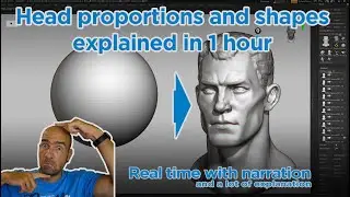 Proportions and shapes of the human head in 1 hour