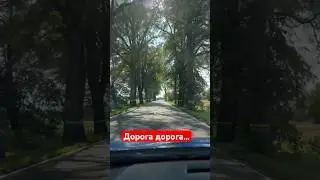 Дорога дорога…