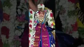 Thirunagari Sri Vayalali Manavalan Vijayadasami Kudhira Vahana Purappadu