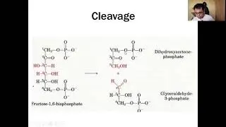 Introduction to General Biochemistry