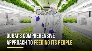 Dubai's Food Tech Valley: Dubai's Comprehensive Approach to Feeding Its People