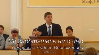 Не заботьтесь ни о чем... Наприенко Андрей В.