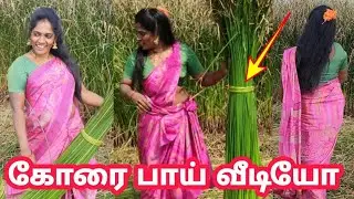 கோர பாய விருச்சு வச்சு .இந்த கூர சேல கசங்கலயே....