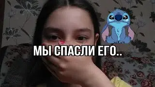 КАК МЫ ЕГО СПАСЛИ