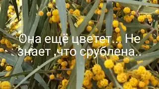 Мы - чудовища...