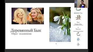 2 столп 60 ДЗЯ ДЗЫ. Деревянный Бык. Карта Ба Цзы Мадонны и Ирины Аллегровой. Дерево инь на Быке .