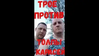 три рыбака против толпы карасей#ДонДимон