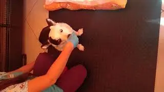 физиотерапия Корнея