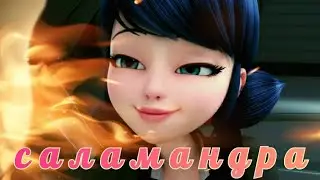 Леди Баг и Супер Кот. Заказной клип на песню Саламандра