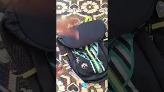 New Stylish Bag For College Students  || Riddle 2 Skybags || best price 700
