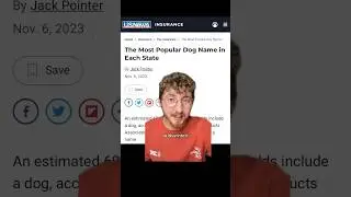 Here are the most popular dog names of 2023! Did your pup's name make the list?