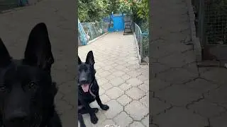 Нашему малышу 5 месяцев!