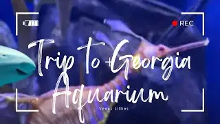 A Visit to Georgia Aquarium (Venus Lillins)