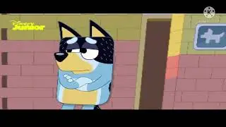 (SEIZURE WARNING) Bandit comes crashing