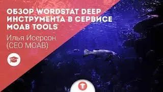 Обзор Wordstat Deep - инструмента в сервисе MOAB Tools