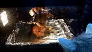 New gas stove Gefest 6100 03 0004. Cooking grilled chicken in the oven.