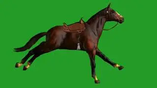 #greenscreen