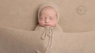Penrith Newborn Photography- Leo -12 days