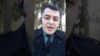 Британский торопышка☝🏻