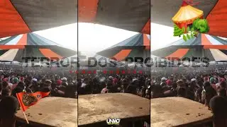 20 + 6 MINUTINHOS DE SEQUÊNCIA DO BAILE DA SELVA 2022 (( ELBINHO DA PENHA )) COMPLEXO DA PENHA