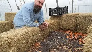 International Compost Awareness Week 2024