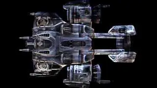 BUMPER TERRAN