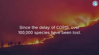 Six Species GO EXTINCT every hour! 