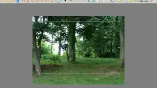 Xnview,part2,basic image editing