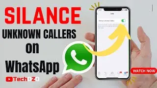 How to Silence Unknown Callers on WhatsApp for iOS and Android-TechOZO