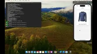 Simple shared element transition using react-navigation l shared animation 