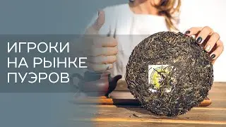 Игроки на рынке пуэров.