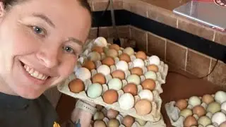 WHAT TO DO WITH ALL THESE EGGS? 