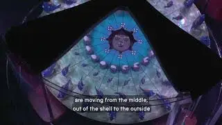 The Art of Illusion: Optical Toys Demonstration
