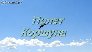 Полет коршуна