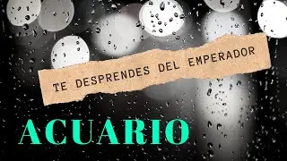✓ACUARIO FEBRERO 2020, Por fin avanzas al Triunfo.👹 ¡Cuidado! con esa persona que conocerás.
