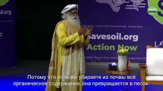 Кот-д'Ивуар принимает Садхгуру и движение #СпасёмПочву