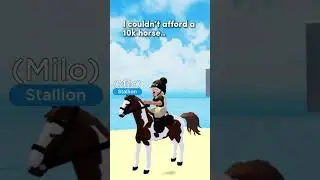 I couldn’t afford a 10k horse..so I made one🤷‍♀️