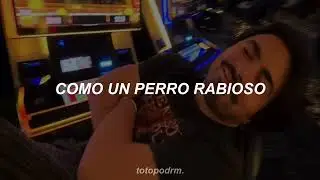 yandel, latin mafia ; cómo es que se hace // letra //