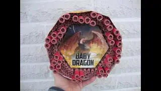 Lesli Baby Dragon Knallkette 🧨