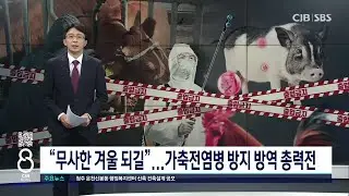 ‘뚫리면 삽시간’ 조류독감 등 가축전염병 방지 총력전