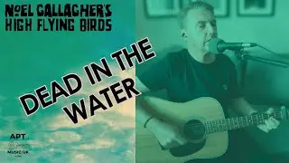 NOEL GALLAGHERS HIGH FLYING BIRDS - 