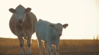 Skåne