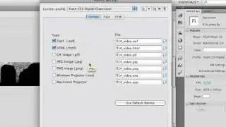 Adobe Flash CS5 Tutorial - Publishing a Movie with Flash