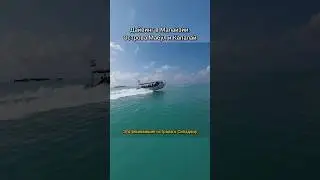 Дайвинг в Малайзии у острова Сипадан #дайвинг#путешествия #малайзия