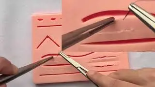 Deep dermal bite & basic ambidexterity practice
