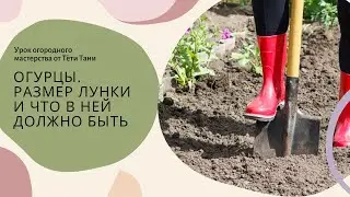 Огурцы. Размер лунки и что в ней должно быть.