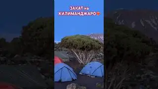 #танзания